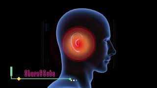 10000 Hz Beta Wave Tinnitus Sound Therapy To Unblock Your Ears  15 Min Isochronic Binaural Beats [upl. by Ovid]