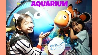 Kaycee amp Rachel saw a DOLPHIN at the AQUARIUM [upl. by Yt]