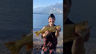 Catching massive cut throat trout in crystal clear mountain lakes [upl. by Ecnerol192]