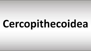 How to Pronounce Cercopithecoidea [upl. by Sarid]