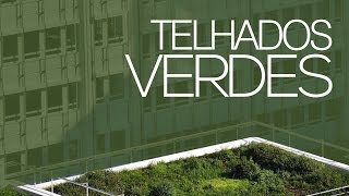 Telhados Verdes O Guia Completo [upl. by Kilbride]