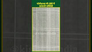 राजस्थान में Polyhouse की खेती पर सब्सिडी के बारे में जानकारी  Polyhouse Farming Subsidy shorts [upl. by Akiv]