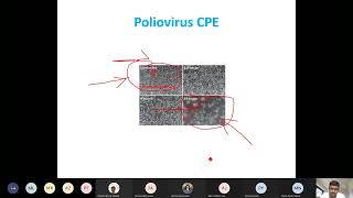 Lecture5 SBL704 Virology 15 01 2022 [upl. by Mella]