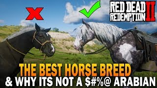 The BEST HORSE Breed In RDR2 And Why Its Not an Arabian  Red Dead Redemption 2 Horses [upl. by Annael915]