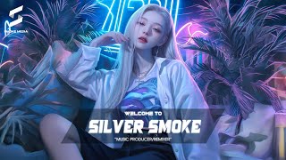 TRACK LIST SILVER SMOKE  HỘI PHÁP SƯ FAIRYTAIL x DA DA DA REMIX  NONSTOP VINAHOUSE [upl. by Brunhilde]