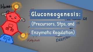 Gluconeogenesis [upl. by Ahsenor235]