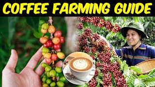 Coffee Farming  Everything You Need To Know About Coffee Cultivation [upl. by Olram]