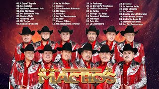 Banda Machos Exitos Viejitos Completos Mix [upl. by Bobbette976]