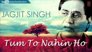 Jagjit Singh Ghazal quotWo Nahin Milaquot  Tum To Nahin Ho Album  Best Of Jagjit Singh Ghazals [upl. by Harleigh]