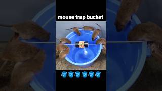 MOUSE TRAP BUCKET 🪣 🪤 mousetrap trap buckettrap mouse [upl. by Blanka]