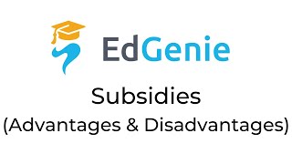 Subsidies  Advantages and Disadvantages [upl. by Brittan]