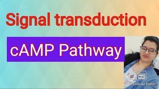 2 GPCR cAMP PathwaySignal transduction [upl. by Ewnihc]