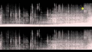 Minecraft music disc 11 Spectrogram [upl. by Mendy]