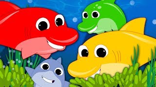 We Are The Dolphins  Nursery Rhymes For Kids  Baby Dolphin Song  Children Rhyme [upl. by Kass499]