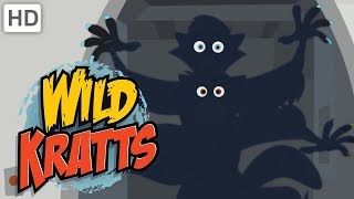 Wild Kratts  Spooky Creature Roundup 🎃 Halloween Howls and Growls [upl. by Bruis]