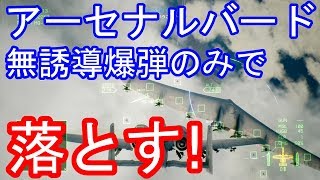 エースコンバット７ アーセナルバードを無誘導爆弾のみで落とす！ [upl. by Ahsena]