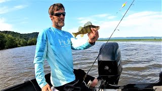 Mississippi River Perch Crappie Walleye Channel Catfish and MORE  River Multispecies Fishing [upl. by Lavicrep936]