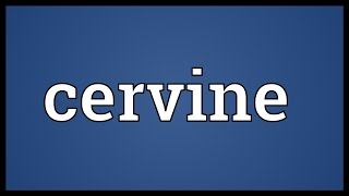 Cervine Meaning [upl. by Fevre469]