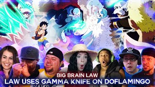 Law Uses Gamma Knife On Doflamingo  Reaction Mashup [upl. by Det]