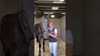 Here’s Dressage rider Alice Begg to tell us about her achievements this year 🥇 [upl. by Drol]