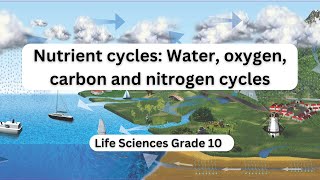 Nutrient cycles Water oxygen carbon and nitrogen cycles [upl. by Elbert]