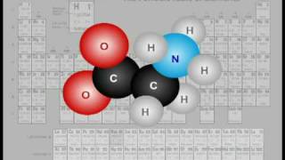 Albion University  Organic and Inorganic Nutritional Minerals [upl. by Akinej]