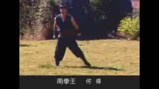 Nan Quan  Awesome Traditional Kung Fu [upl. by Dnomsed533]