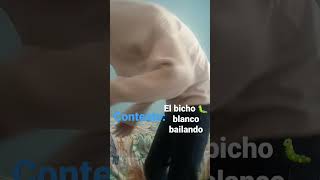 el bicho blanco bailando 🐛 [upl. by Zipah]