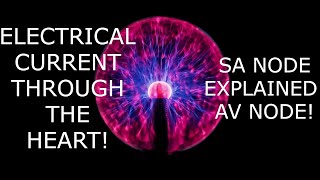 SA NODE Sinoatrial Node Explained Pacemaker of the heart explained [upl. by Ahsineb212]