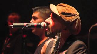 Shantel amp The Bucovina Club Orkestar Live  Disko Partizani  Sziget 2012 [upl. by Guntar]