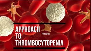 Approach to Thrombocytopenia pathology pathologylab hematology smear [upl. by Perr]