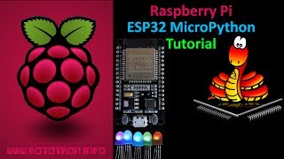 ESP32 MicroPython Tutorial with Raspberry Pi [upl. by Eralc]