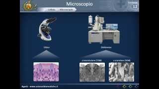 Citologia 12  microscopio [upl. by Also]