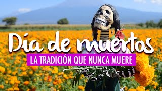 ATLIXCO DÍA DE MUERTOS EN PUEBLA La tradición que nunca muere [upl. by Rehpotsirhcnhoj]