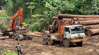 Aktiviti logging di Solomon IslandsGagal Hauling Jalan masih basah [upl. by Holladay]