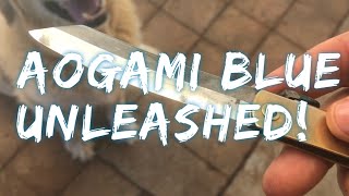 Aogami Steel Unleashed [upl. by Andras974]