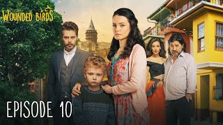 Wounded Birds  Episode 10  Multi Lang Subtitles Turkish Drama  Yaralı Kuşlar 2019 [upl. by Ernst887]