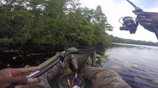 Fishing with Malik  Largemouth Bass Fishing Tobyhanna State Park PA [upl. by Pegeen]