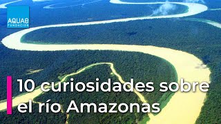 10 curiosidades sobre el RÍO AMAZONAS [upl. by Eamon]