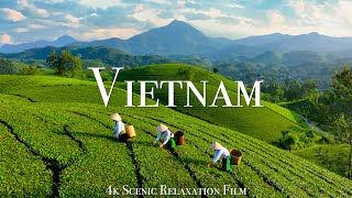 Vietnam 4K  Scenic Relaxation Film With Calming Music [upl. by Inneg466]