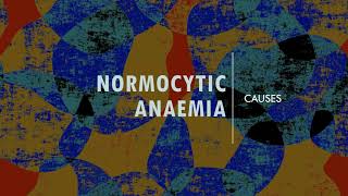 Normocytic Anaemia  Causes [upl. by Monteith]