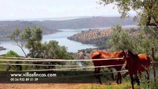 Luxury Hacienda Cortijo in Cordoba Andalucia [upl. by Plunkett]