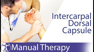 Intercarpal Assessment amp Mobilization Wrist Flexion  Scaphotrapeziotrapezoid Joint [upl. by Namwen]