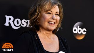 Roseanne Barr Accuses Sara Gilbert Of Destroying Her Life [upl. by Durarte]