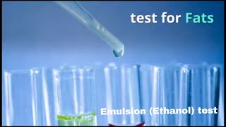 Food test  Emulsion ethanol test for Fats IGCSE GCSE AQA O level Cambridge Checkpoint [upl. by Callery]