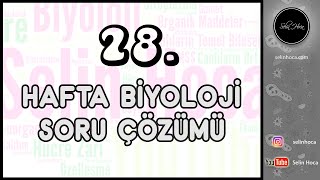 28 Hafta Biyoloji Soru Çözümü [upl. by Aseena]