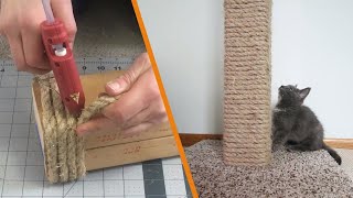 DIY Cat Scratching Post [upl. by Stroup]