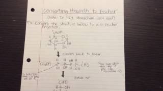 Converting Haworth Projections to Fischer Projections [upl. by Auric]