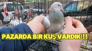 Halkalı Kuş Pazarı Ucuzluğun ADRESİ Part 2 [upl. by Lanrev]