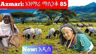 Ethiopia ምርጥ የአገር ትዝታ አዝማሪ ማሲንቆ  Azmari Masinko  Best Ethiopian Azmari Music Part 85 [upl. by Niuqram]